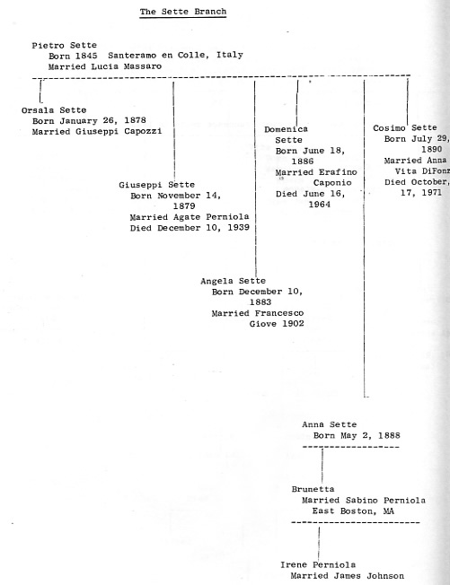 he Capozzi / Salerno / Sette / Marsico Family Trees